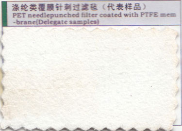 滌綸類(lèi)覆膜針刺過(guò)濾氈(代表樣品)